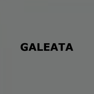 Galeata