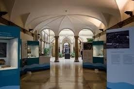 museo zangheri